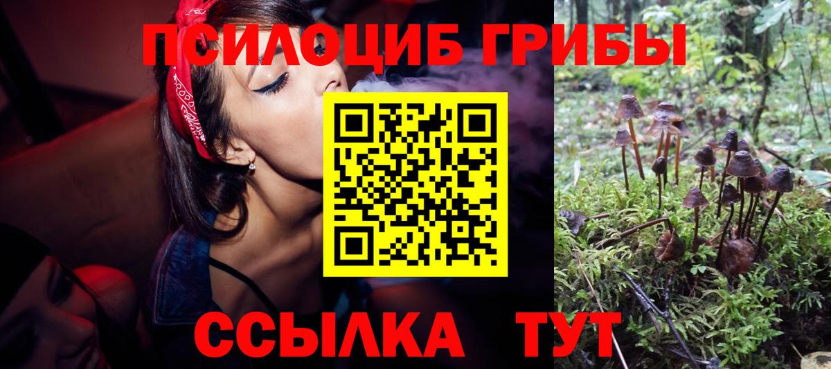 Псилоцибиновые грибы прущие грибы  Псилоцибиновые грибы мицелий  Вход с VPN  Ефремов 